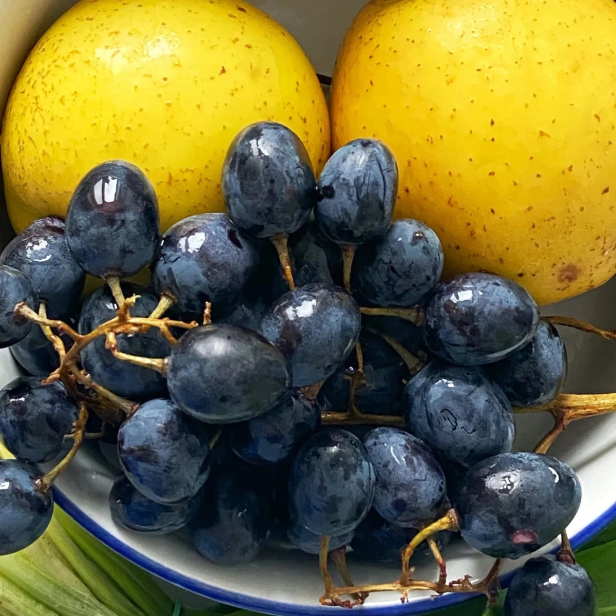 Obstschüssel, Trauben