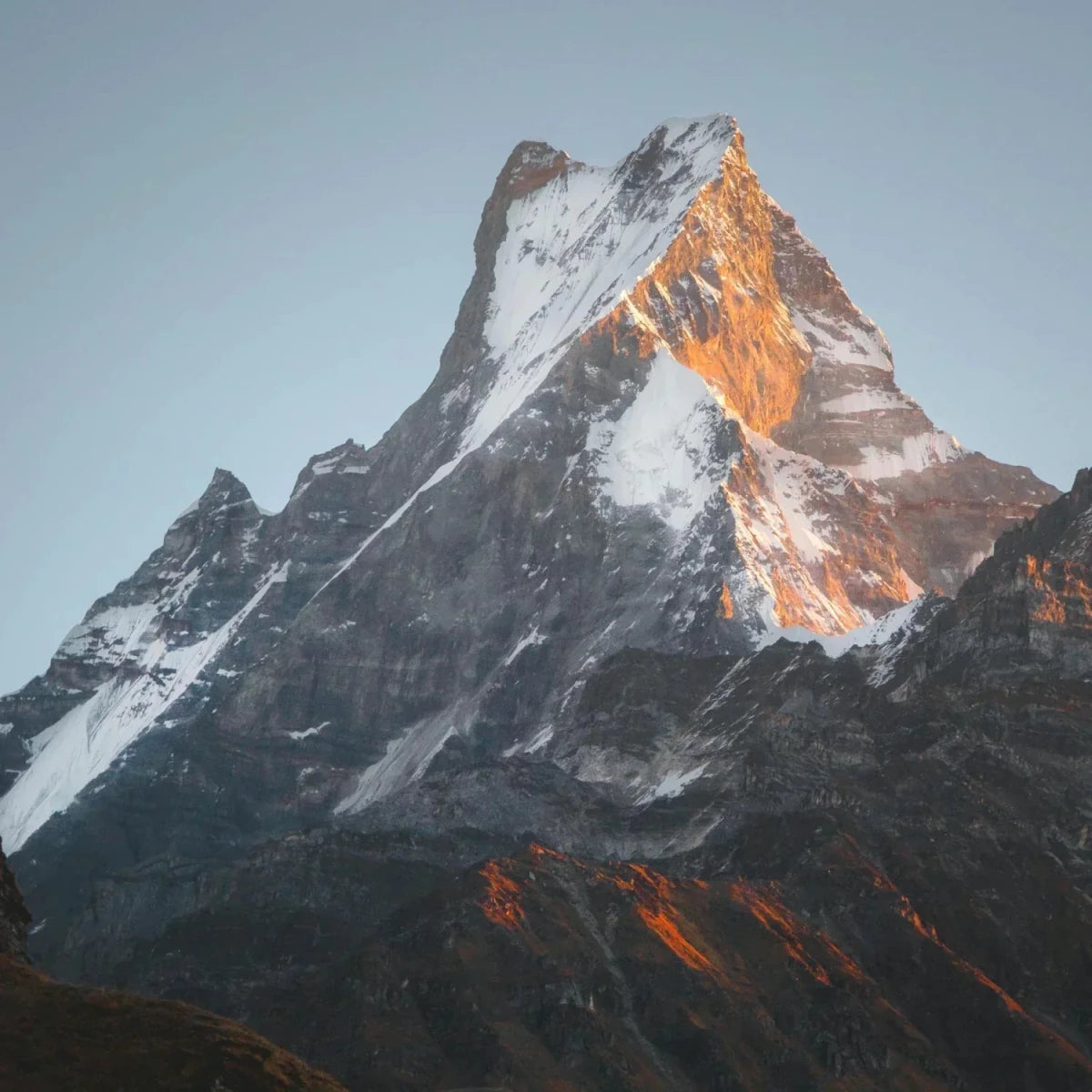 Shilajit Mythen: Himalaya